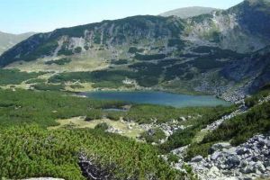 Jaf pe zeci de mii de hectare de pădure. Zona în care munţi întregi au rămas fără copaci