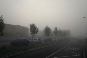 O parte a judeţului Bistriţa-Năsăud, sub cod galben de ceaţă