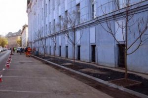 Copaci înlocuiţi şi trotuare refăcute pe strada Nicolae Iorga