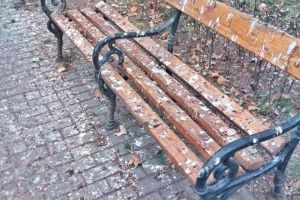 Senator USR de Timis: De cand locuiesc in Timisoara nu am mai vazut orasul asa de murdar