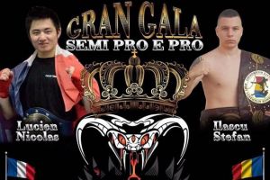 Luptatori de la Tai-Chi-Do-Ryu-Constanta, in ring, luna viitoare, in gala din Italia (galerie foto)