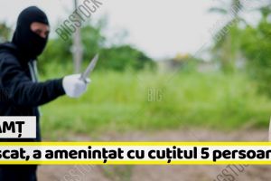 Neamţ: Mascat, a ameninţat cu cuţitul mai multe persoane. Poliţiştii au tras două focuri de armă