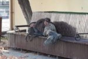 Un primar se plânge, altul se făleşte. „Înainte se lucra mai fără mănuşi, erau încărcaţi în trenuri!“