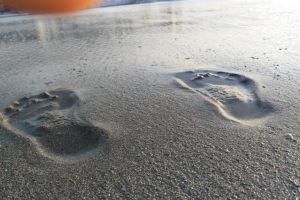 Marele secret pe care nimeni nu vrea să ţi-l spună despre demisie