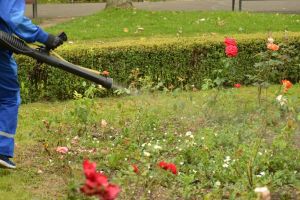 Primăria Alba Iulia a câştigat în instanţă contestaţia firmei Coral Impex SRL cu privire la atribuirea serviciului pentru întreţinerea spaţiilor verzi din municipiu