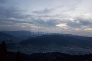 Pădurile Sucevei, populate de mii şi mii de animale sălbatice