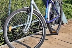 Haideti sa pedalati o tura pe aleile din Padurea Verde!