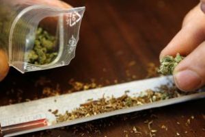 Tanarul din Sacalaseni care a cultivat cannabis, arestat preventiv pentru 30 de zile