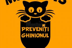 „Ziua informării Preventive”  şi „porţi deschise”, marţi, la Inspectoratul pentru ...