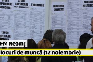 AJOFM Neamţ: 783 locuri de muncă vacante la data de 12 noiembrie 2018