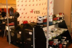 VES SA îşi diminuează capitalul social cu 10 milioane de lei