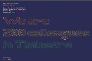 VISMA: Cum arata o zi de munca atunci cand lucrezi intr-un mediu placut si relaxat?