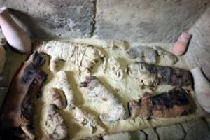 Șapte morminte din timpul faraonilor, descoperite lângă Cairo. Surpriza arheologilor când le-au deschis