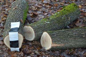 Harghita în weekend: Zeci de goruni tăiaţi ilegal şi transporturi de material lemnos ilicite