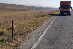 Hoţii au făcut o pasiune pentru coşurile de gunoi furate