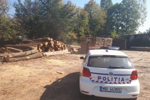 Acţiune silvică pe raza judeţului Satu Mare. Poliţiştii au aplicat amenzi de mii de lei