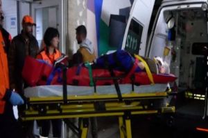 BĂRBAT ATACAT DE URS – ultimele informaţii despre starea sa de SĂNĂTATE