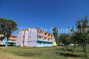 Cine a fost numit director executiv al firmei Tabara Navodari SA