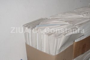 Deciziile societatii Ameropa Grains, publicate in Monitorul Oficial al Romaniei