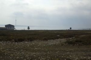 Pe urmele lui Jean Constantin la Techirghiol. La cărămidărie, documentul magic şi puiul de ţigănuş