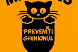 Astăzi, Ziua Informării Preventive