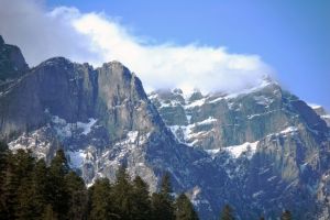 Reuniune pe tema apelor fondului forestier si cinegetic la Busteni