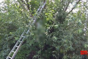 Descoprire şocantă. Scheletul spânzurat al unui băimărean, găsit în judeţul Satu Mare