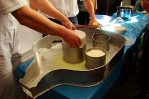 Curs acreditat de prelucrare a laptelui, în perioada noiembrie 2018- mai 2019