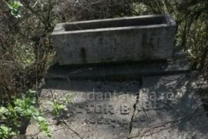 Nu-l lasa nici mort in pace! Mormântul mareşalului, vandalizat