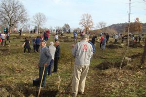 45 de pomi fructiferi plantaţi în cinstea a 450 de ani de libertate religioasă