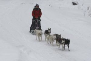 COȘMARUL unui mare campion. Un accident care îl poate marca pe viaţă