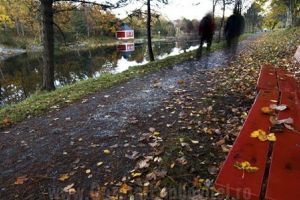 METEO: Zi de miercuri, cu ploi locale şi vânt slab. Lapoviţă şi ninsoare, la munte