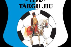 Clubul Sportiv Pandurii Târgu-Jiu face angajări! Concursul, în decembrie