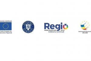 Începerea proiectului „Diversificarea activităţii companiei Sabău Popa Consulting în domeniul IT”