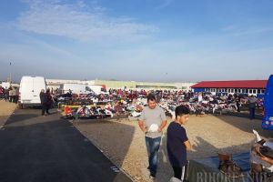 ADP Oradea scoate la licitaţie spaţii în noua Piaţă 100