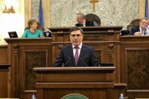 Mario Ovidiu Oprea (PNL): Domnitori de lemn într-un mare regat de cioturi