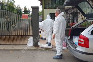 Autorităţile au închis focarul de pestă de la Lucieni
