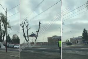 Reprezentanţii grupului Arcelik au “descins” la Găeşti şi Ulmi, cu elicopterele! Nici o oficialitate nu a fost invitată