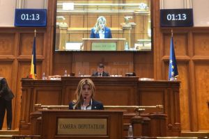 Maricela Cobuz: Pentru prima dată, Ministerul Sănătăţii acordă o importanţă maximă ...