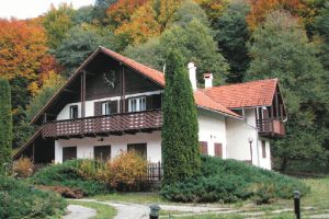 Direcţia Silvică Harghita scoate la vânzare lemne de foc pentru populaţie