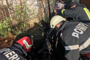 FOTO. Pompierii, la datorie. Un alt cal salvat de la moarte. A căzut într-o fosă septică