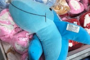 Jucării obscene, retrase de OPC de la vânzare într-un magazin din Constanţa