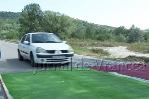 Filtrele sanitare de pestă porcină de la Homocea au fost ridicate