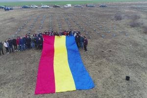 De Ziua Dobrogei, mai multi copaci au fost plantati la granita dintre judetele Constanta si Tulcea (galerie foto)