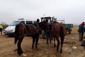 Au fluturat banii la nasul poliţiştilor şi au rămas fără căruţe