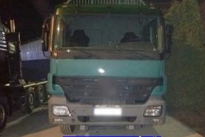 AMENZI şi DOSARE PENALE pentru că TRANSPORTAU LEMNE ILEGAL!