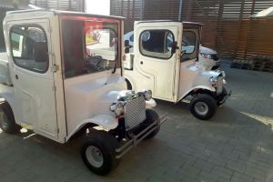 ADP dotează aquapark-ul şi cimitirul cu maşini electrice (FOTO)