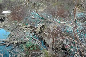 Albia râului Crişul Alb, invadată de gunoaie şi resturi vegetale