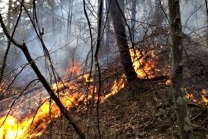 Vestigii dacice incendiate – efect indirect al indiferenţei Ministerului Culturii