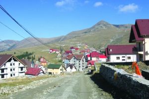 Rânca are coşuri de gunoi!